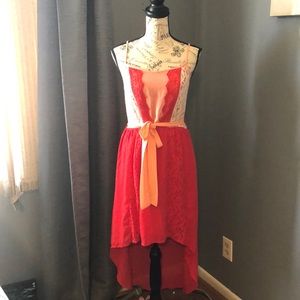 Large red and orange flying tomato nylon dress